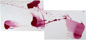 Painting--Oil-ConceptualDeliverance