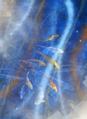 Singularity (thumbnail)