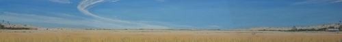 %22Meridian%20near%20Perimeter%2C%20Vaca%20Valley%22%20 (thumbnail)