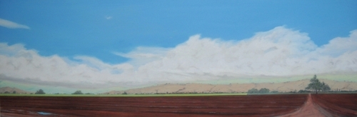 %22Somewhere%20near%20Salinas%22 (thumbnail)