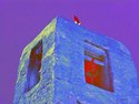 Call%20of%20the%20Crow (thumbnail)