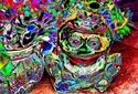 Frogs%20%26%20Flowers (thumbnail)