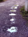 Tow%20Path%20Puddles%20Lambertville (thumbnail)