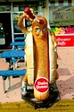 %20Spotted%20Dog (thumbnail)