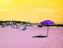 Cape%20May%20Beach (thumbnail)