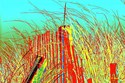 Beach%20Fence (thumbnail)