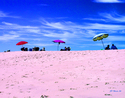 On%20the%20Beach (thumbnail)