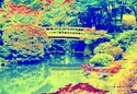 Japanese%20Garden%20Bridge (thumbnail)