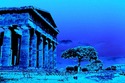 Temple%20of%20Neptune%20Moonlight (thumbnail)