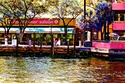 New%20River%20Ft%20Lauderdale (thumbnail)