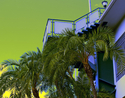 Ft%20Lauderdale%20Stadium (thumbnail)