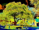 Dark%20Clouds%20over%20Paradise (thumbnail)