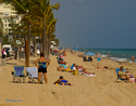 Beach%20Work (thumbnail)