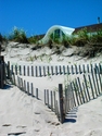 Dune%20House%20Artsey (thumbnail)
