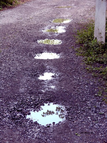 Tow%20Path%20Puddles%20Lambertville (large view)