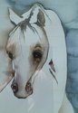 Ghost Horse