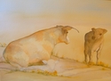 Granny Cow