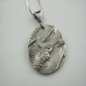 Sailfish (thumbnail)