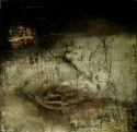 %27She%20Knew%20It%20Was%20Time%20To%20Go%20Home%27 (thumbnail)