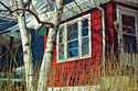 Jean G. Langer - Green Birdhouse