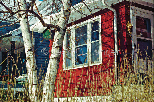 Photography-Urban-Green Birdhouse