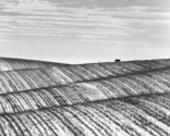 Along Highway 92