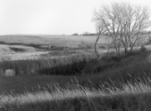 Prairie Sunset