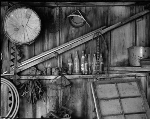 Shed