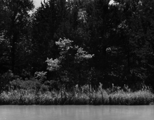 Loup River at  Pressey