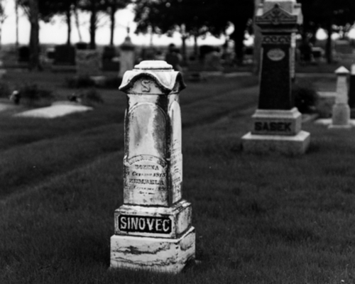 Wilber, Sinovec