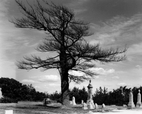 Morse Bluff, Czech Cemetery