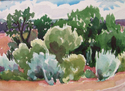 Sage Brush