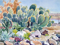 Cactus