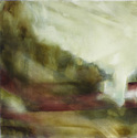 evening%20evergreen%20I (thumbnail)