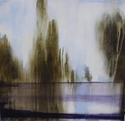 Into%20the%20Trees%202 (thumbnail)