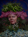 Mid%20Spring (thumbnail)