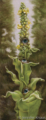 Mullein (large view)