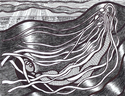 Kelp Bed Kelp%20Bed (thumbnail)