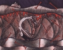 Tidal Waves Don't Beg Forgiveness Tidal%20Waves%20Don%27t%20Beg%20Forgiveness (thumbnail)