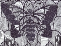 untitled feb4 untitled%20feb4 (thumbnail)