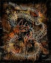 skeleton (thumbnail)