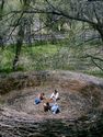 nest