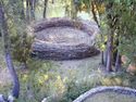 nest