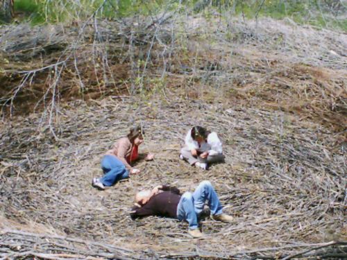 nest
