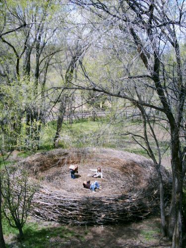 nest