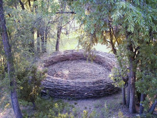 nest