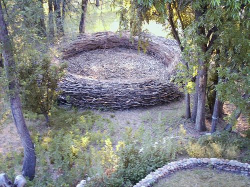 nest