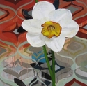 Painting--Oil-FloralDaffodil Humor