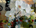 Painting--Oil-Still LifeLingers