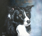 Kyte%20Border%20Collie (thumbnail)
